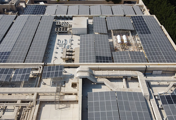 renewable in partnership
